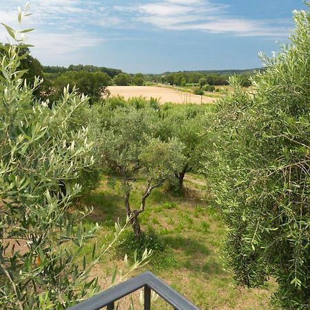 Cottage Zizzolo Riparbella Εξωτερικό φωτογραφία
