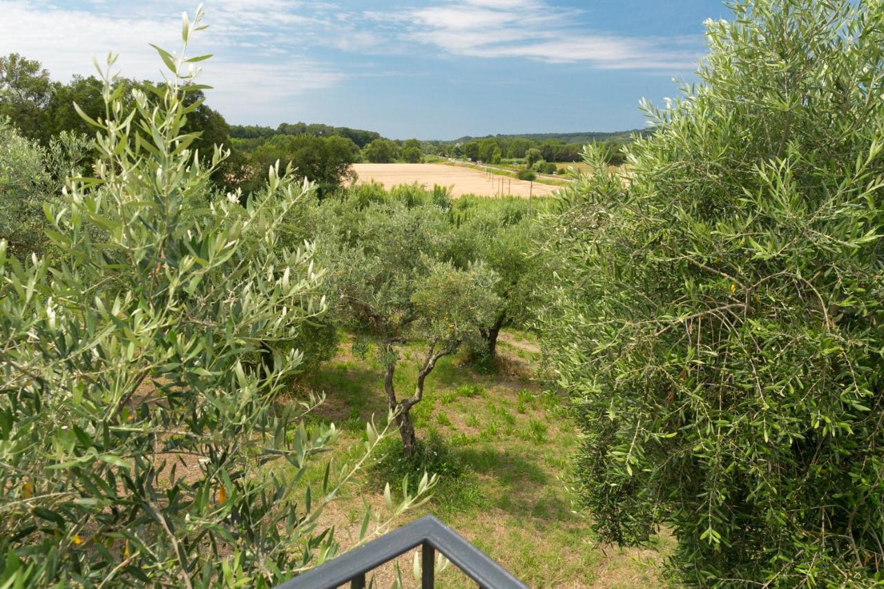 Cottage Zizzolo Riparbella Εξωτερικό φωτογραφία